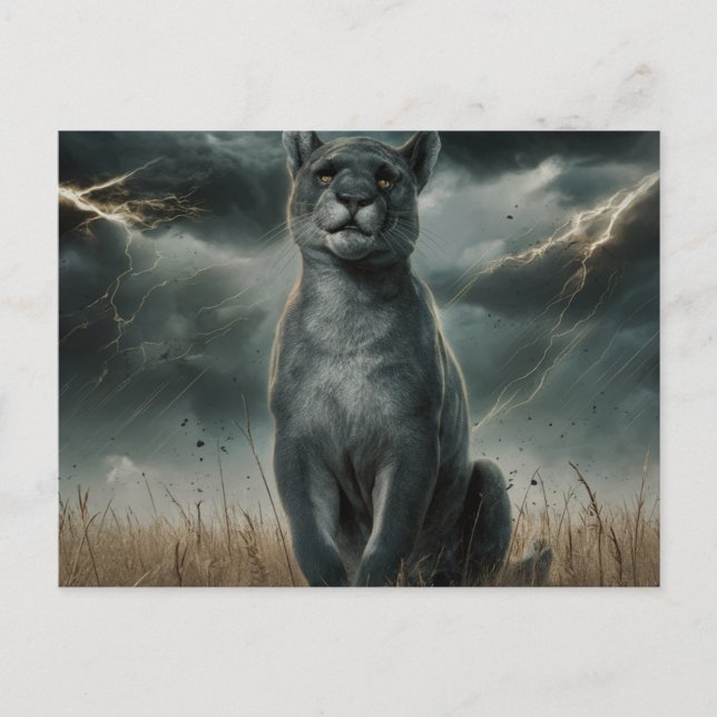 Postcards Diverse 1 Postkarte (Vorderseite)