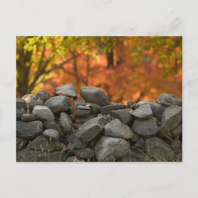 POSTCARDS STONE WALL POSTKARTE (Vorderseite)
