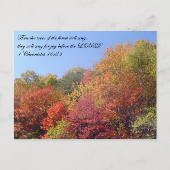 Postcards: Trees Sing Postkarte (Vorderseite)