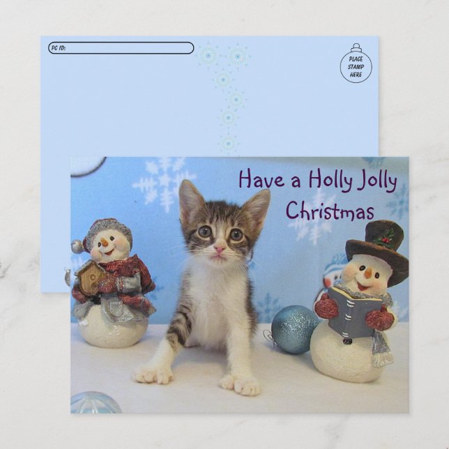 Postcross Taromina Cat - Holly Jolly Christmas Postkarte (Vorne/Hinten)