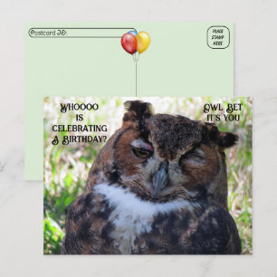 Postcrossing Geburtstag Großer Uhu Postkarte