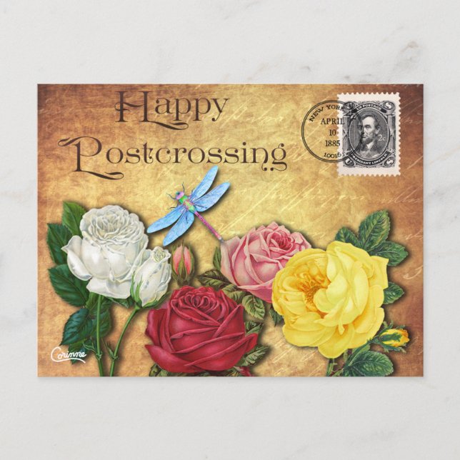 Postcrossing Libelle - Postkarte (Vorderseite)