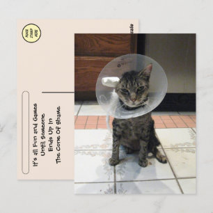 Postcrossing-Schamkegel - Postkarte zur Genesung f