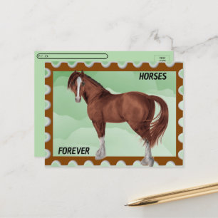 Poste - Carte postale American Painted Horse