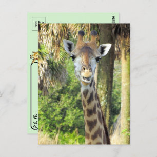 Poste - Carte postale Silly Giraffe