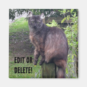 Posten-Katzen-Magnet Magnet