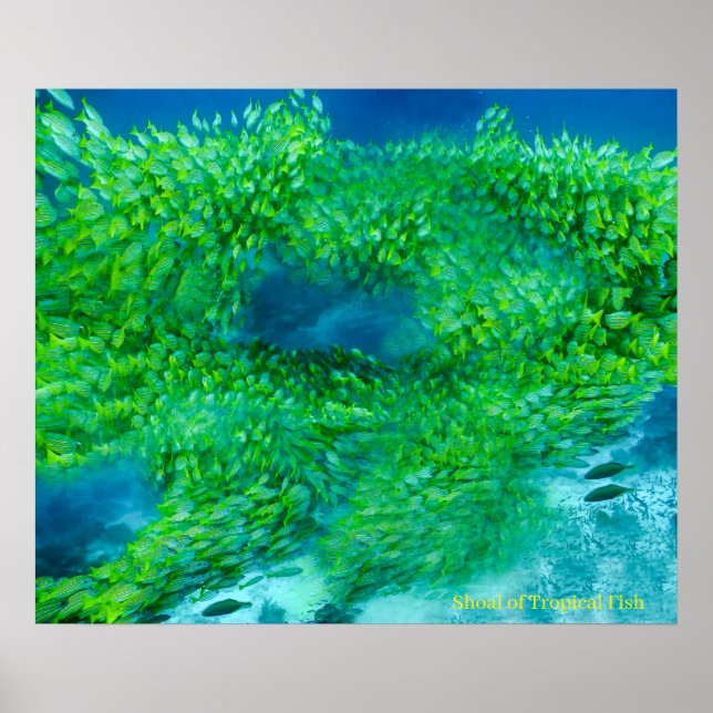 Poster (Vorne)