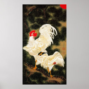 POSTER 動植綵絵(11)老松白鶏図, 伊藤若冲