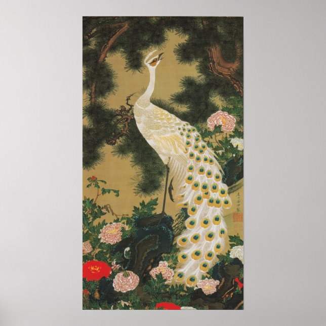 POSTER 動植綵絵(9)老松孔雀図, 伊藤若冲 (Devant)