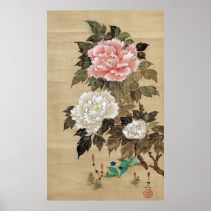 Poster 牡 丹, 其 一 Peony, Kiitsu, Japon Art