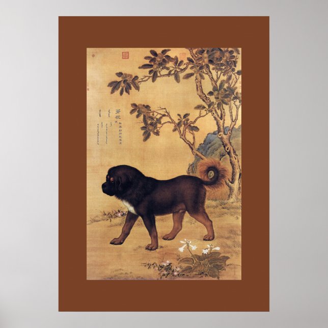 Poster 猊 苍 Cangni ~ Mastiff Tibétain ~ Giuseppe Castiglio (Devant)