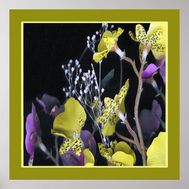 Poster 07ty05a. (Devant)