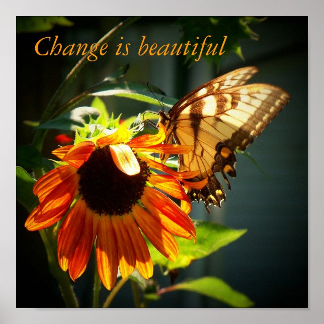 Poster 100_1974, le changement est beau (Devant)