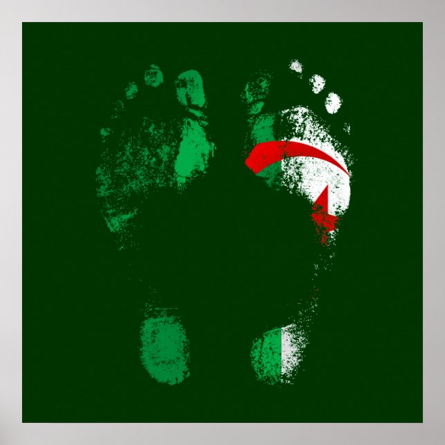 Poster 100% Algérie - Algérien à la plante de mes pieds. (Devant)