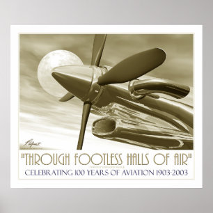 Poster 100e anniversaire de vol