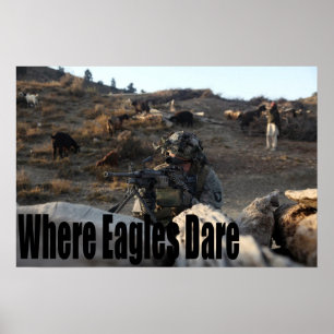 Poster 101e Airborne