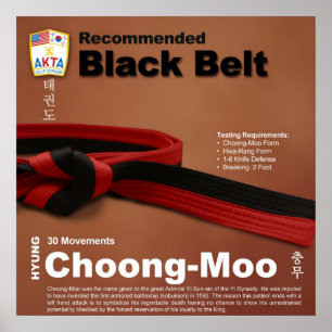 Poster 10-11 a recommandé la ceinture noire Font-jang