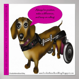 Poster 11 X 11 frankie