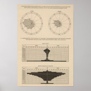Poster 123 Maladies mortelles système respiratoire, bronc