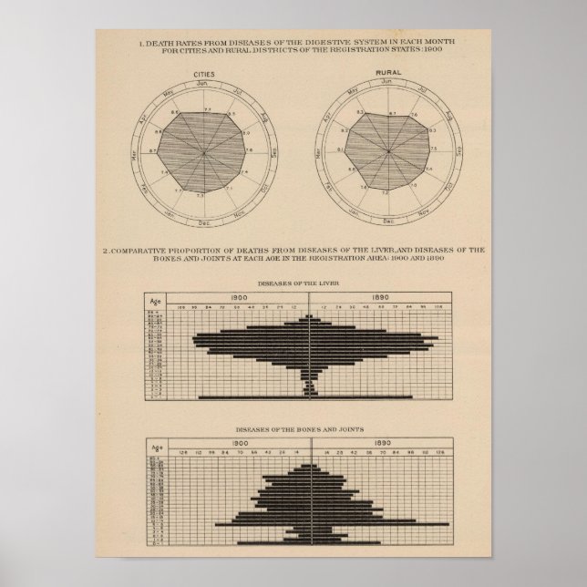 Poster 124 Maladies mortelles système digestif, foie (Devant)