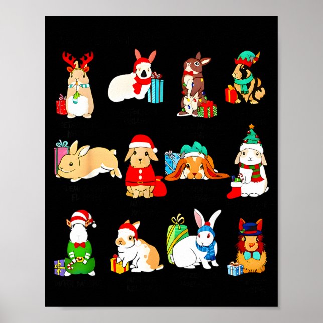 Poster 12 Bunny Of Christmas Bunny Rabbit Christmas Xmas  (Devant)