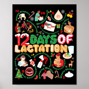 Poster 12 Jours de Consultante en Lactation Ibclc Allaite
