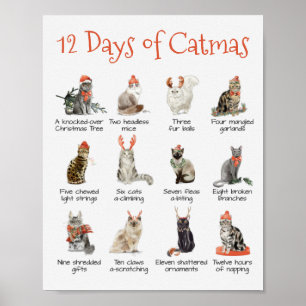 Poster 12 jours de Noël Catmas