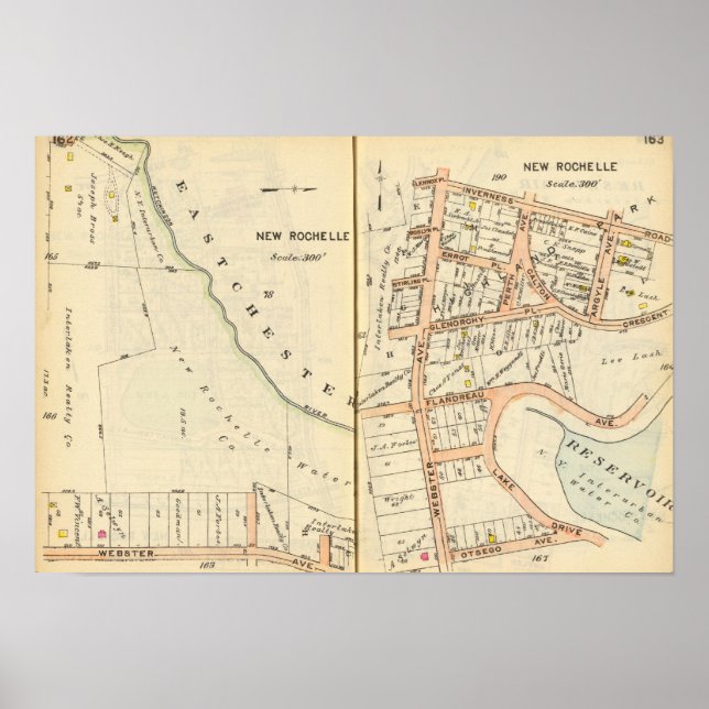 Poster 162163 Nouvelle Rochelle (Devant)