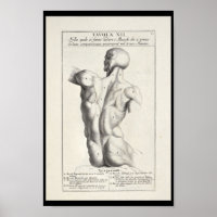 1691 Anatomie artistique Muscles de dos Art Print