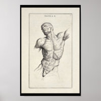 1691 Muscles d'anatomie artistique Torse Art Impri