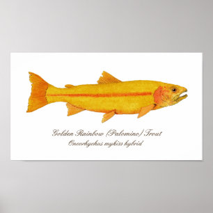 Poster 16" X12", papier d'affiche de valeur (mat)