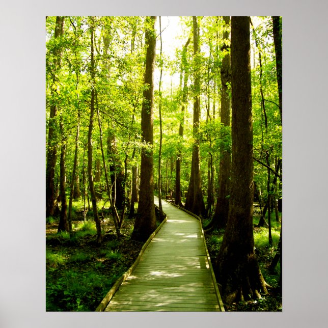 Poster 16x20 - Chemin forestier (Devant)