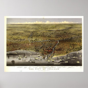 Poster 1874 Chicago, IL Oiseaux Vue panoramique