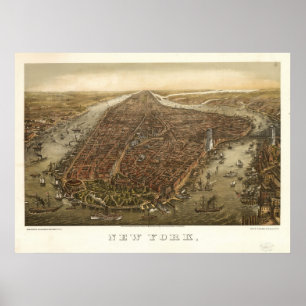 Poster 1874 New York City NY Oiseaux Vue panoramique