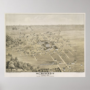 Poster 1876 McKinney, TX Oiseau Vue panoramique