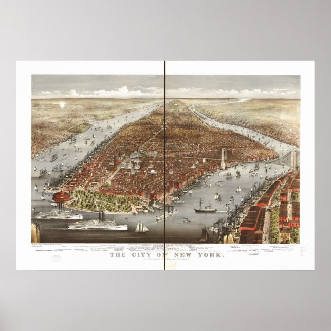 Poster 1876 New York City NY Oiseaux Vue panoramique (Devant)