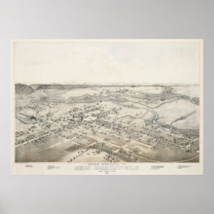Poster 1881 Nouveau Braunfels TX Oiseaux Vue panoramique 