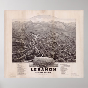 Poster 1884 Liban, NH Oiseaux Vue panoramique Carte