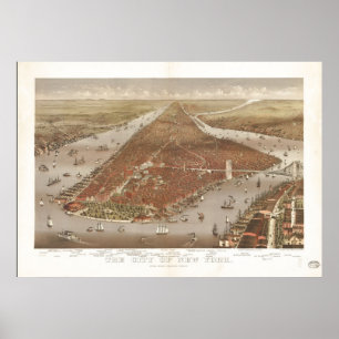 Poster 1884 New York City NY Oiseaux Vue panoramique