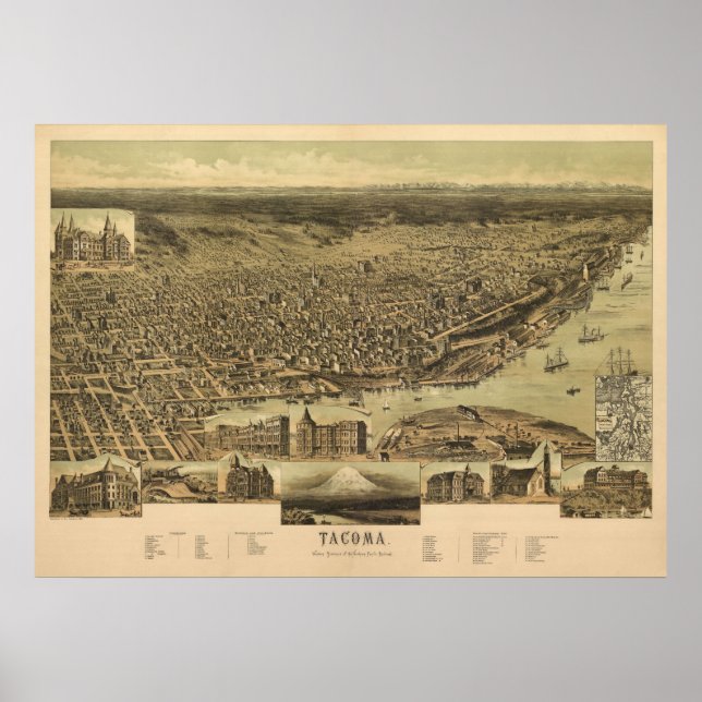 Poster 1890 Tacoma, WA Oiseaux Vue panoramique Carte (Devant)