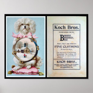 Poster 1898, Vêtements, Chien, Publicité, Vintage