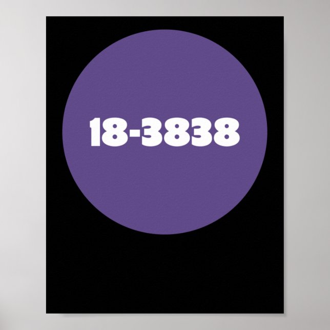 POSTER 18-3838 (Devant)