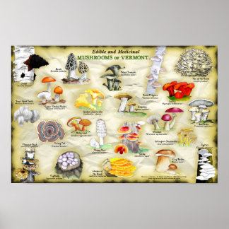 Poster 18x12 Champignons du Vermont