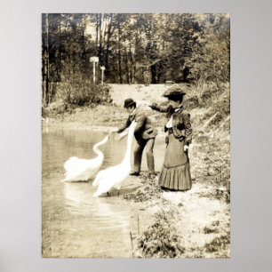 Poster 19ème C. Swans à Paris