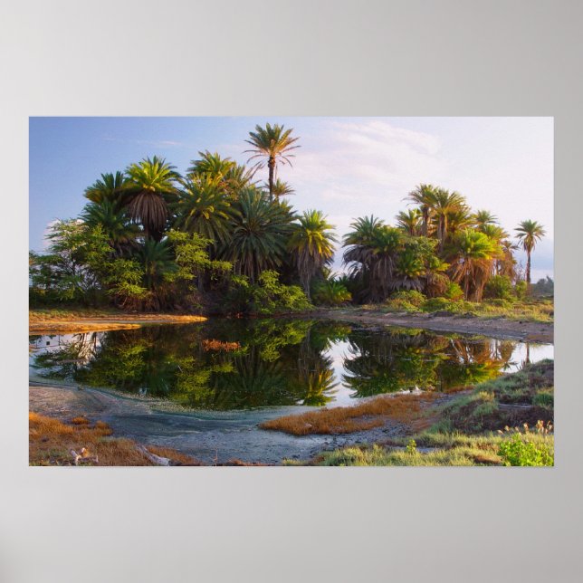 Poster 1 000 000 ans avant J.-C. (Devant)