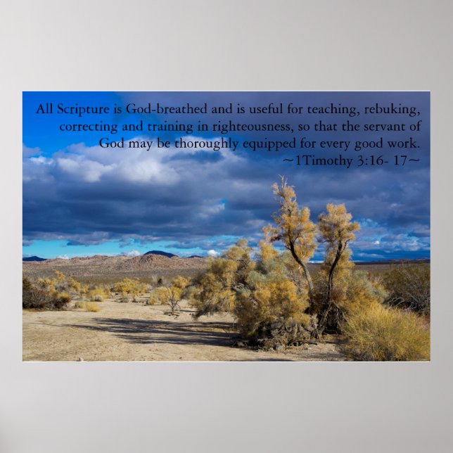 Poster 1 Timothy 3:16, 17 Smoke Bush (Devant)