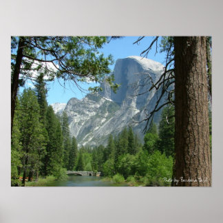 Poster 2005 mai yosemite 198, Photo de Barbara Earl