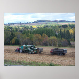 Poster 2009_Maine_Autumn_169
