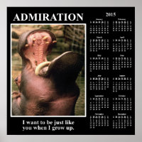 2015 Demotivational Wall Calendrier : Je Vous Admi