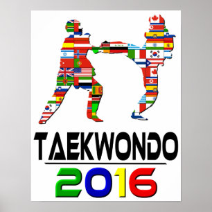 Poster 2016 : Le Taekwondo